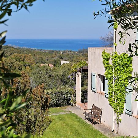 Domaine Punta Della Guardia Villa Vue Mer Dans Nature Protegee, Plage A 1,5 Km Cervione Exteriér fotografie