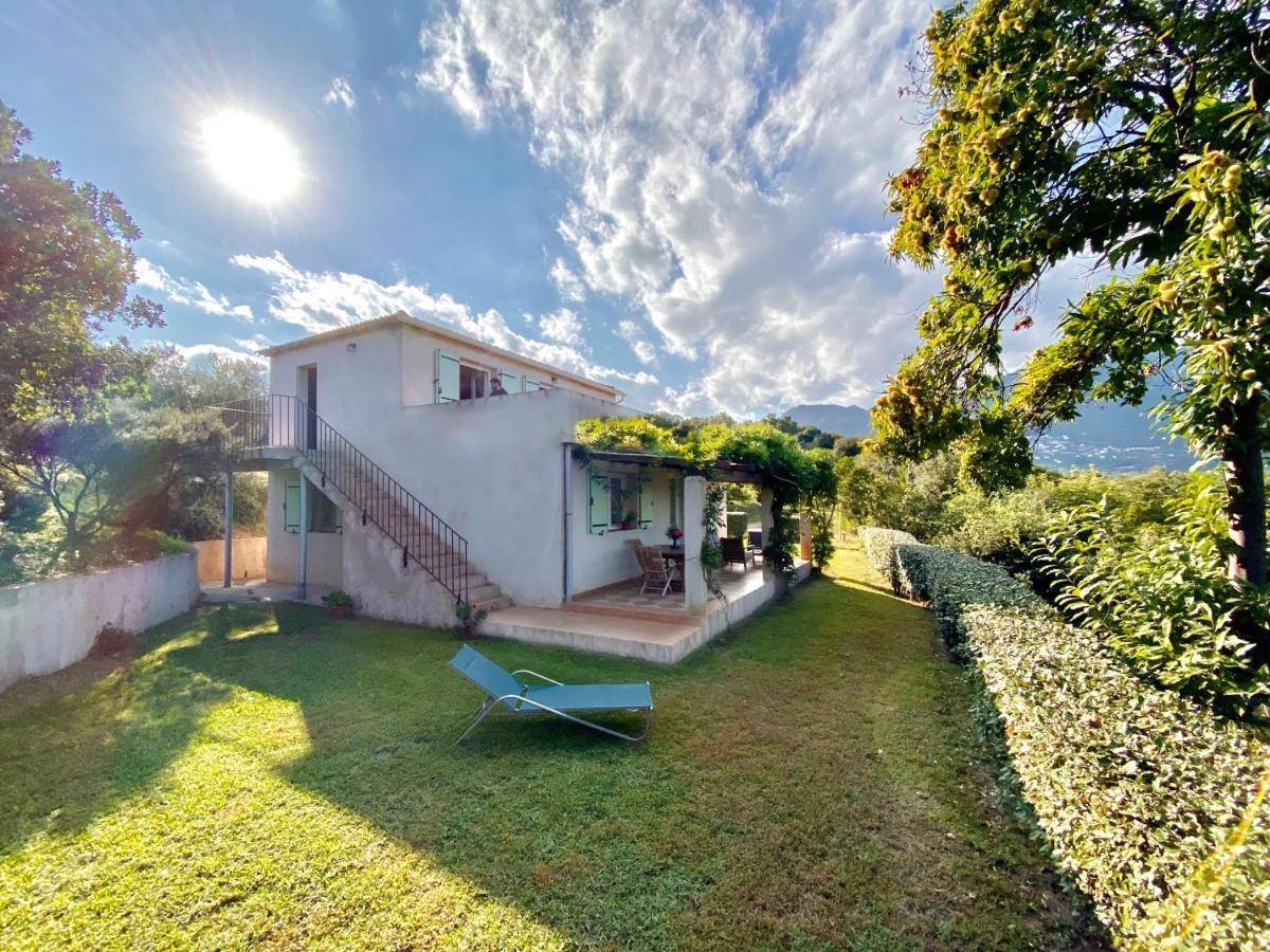 Domaine Punta Della Guardia Villa Vue Mer Dans Nature Protegee, Plage A 1,5 Km Cervione Exteriér fotografie