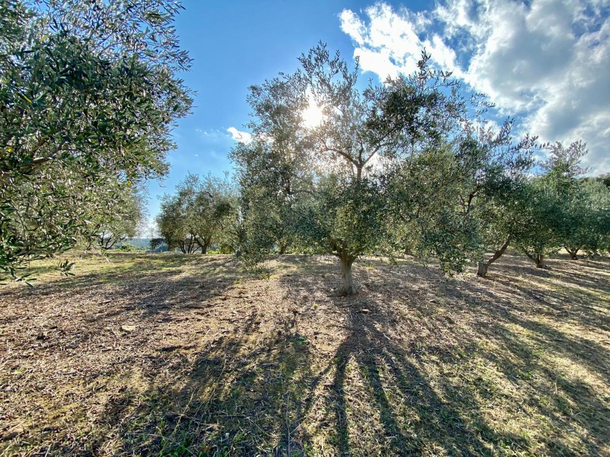 Domaine Punta Della Guardia Villa Vue Mer Dans Nature Protegee, Plage A 1,5 Km Cervione Exteriér fotografie